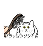 猫あるある（白猫／短毛／ゴールド）（個別スタンプ：12）