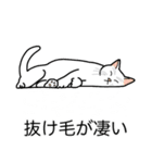 猫あるある（白猫／短毛／ゴールド）（個別スタンプ：13）