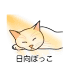 猫あるある（白猫／短毛／ゴールド）（個別スタンプ：16）