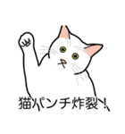 猫あるある（白猫／短毛／ゴールド）（個別スタンプ：17）