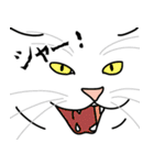 猫あるある（白猫／短毛／ゴールド）（個別スタンプ：18）