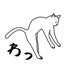 猫あるある（白猫／短毛／ゴールド）（個別スタンプ：21）