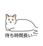 猫あるある（白猫／短毛／ゴールド）（個別スタンプ：22）