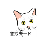 猫あるある（白猫／短毛／ゴールド）（個別スタンプ：23）