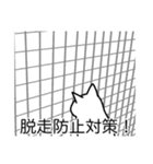 猫あるある（白猫／短毛／ゴールド）（個別スタンプ：27）