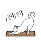 猫あるある（白猫／短毛／ゴールド）（個別スタンプ：28）