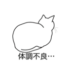猫あるある（白猫／短毛／ゴールド）（個別スタンプ：31）