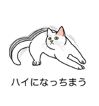 猫あるある（白猫／短毛／ゴールド）（個別スタンプ：38）