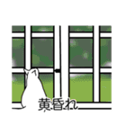 猫あるある（白猫／短毛／ゴールド）（個別スタンプ：40）
