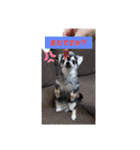 まだまだ不馴れです（個別スタンプ：3）