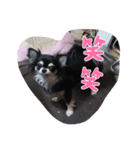 まだまだ不馴れです（個別スタンプ：7）