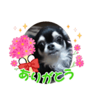 まだまだ不馴れです（個別スタンプ：14）