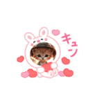 毎回使えるスタンプ可愛い子猫（個別スタンプ：4）