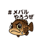 #メバルやろうぜスタンプ（個別スタンプ：1）