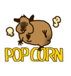 ロシアンスモークモルモット（個別スタンプ：11）