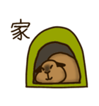 ロシアンスモークモルモット（個別スタンプ：14）