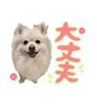 おりな時々とわ（個別スタンプ：15）