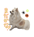 おりな時々とわ（個別スタンプ：18）