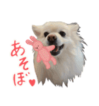 おりな時々とわ（個別スタンプ：24）