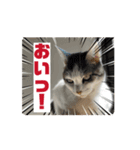 おかゆ＆ピッコロ（個別スタンプ：4）