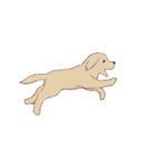 PATA-PATA Retriever（個別スタンプ：1）
