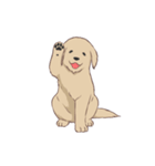 PATA-PATA Retriever（個別スタンプ：2）