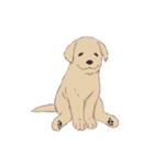 PATA-PATA Retriever（個別スタンプ：4）