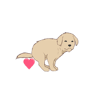 PATA-PATA Retriever（個別スタンプ：5）