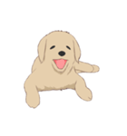 PATA-PATA Retriever（個別スタンプ：6）