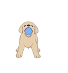 PATA-PATA Retriever（個別スタンプ：7）