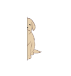 PATA-PATA Retriever（個別スタンプ：8）