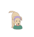 PATA-PATA Retriever（個別スタンプ：9）