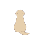 PATA-PATA Retriever（個別スタンプ：10）