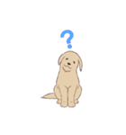 PATA-PATA Retriever（個別スタンプ：11）