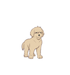 PATA-PATA Retriever（個別スタンプ：12）