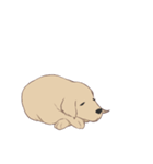 PATA-PATA Retriever（個別スタンプ：13）