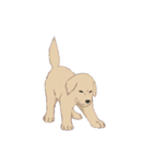 PATA-PATA Retriever（個別スタンプ：14）