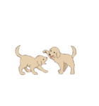 PATA-PATA Retriever（個別スタンプ：16）