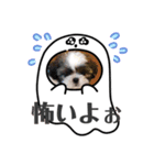 愛犬スタンプマイドッグ（個別スタンプ：2）