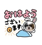 愛犬スタンプマイドッグ（個別スタンプ：4）