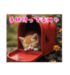 桜色 -さくらいろ-2（個別スタンプ：23）