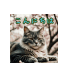 礼儀正しい猫のご挨拶（個別スタンプ：1）