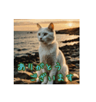 礼儀正しい猫のご挨拶（個別スタンプ：6）