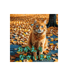礼儀正しい猫のご挨拶（個別スタンプ：11）