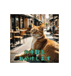礼儀正しい猫のご挨拶（個別スタンプ：15）