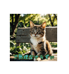 礼儀正しい猫のご挨拶（個別スタンプ：16）