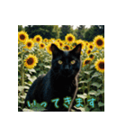 礼儀正しい猫のご挨拶（個別スタンプ：20）