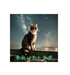 礼儀正しい猫のご挨拶（個別スタンプ：22）