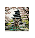 礼儀正しい猫のご挨拶（個別スタンプ：31）