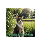 礼儀正しい猫のご挨拶（個別スタンプ：32）